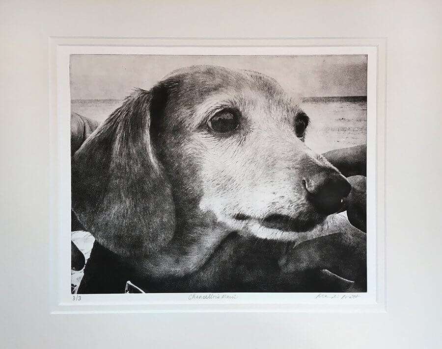 Custom Pet Portrait - Large Etching in 12x16 Mat image 0