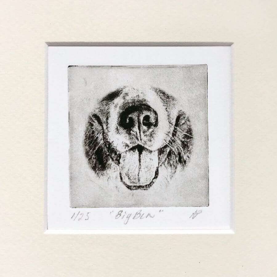 Bernese Nose Dog Portrait image 3