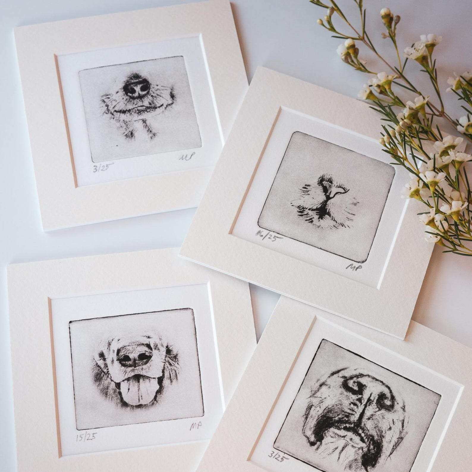 Pet Sympathy Gift Box image 2