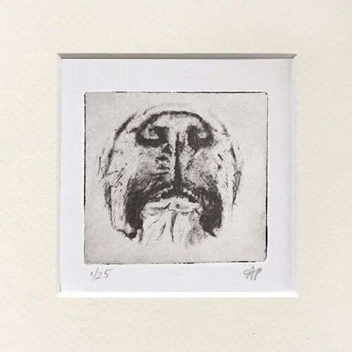 Boxer Nose Dog Portrait image 0
