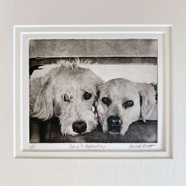 Custom Pet Portrait Etching image 8