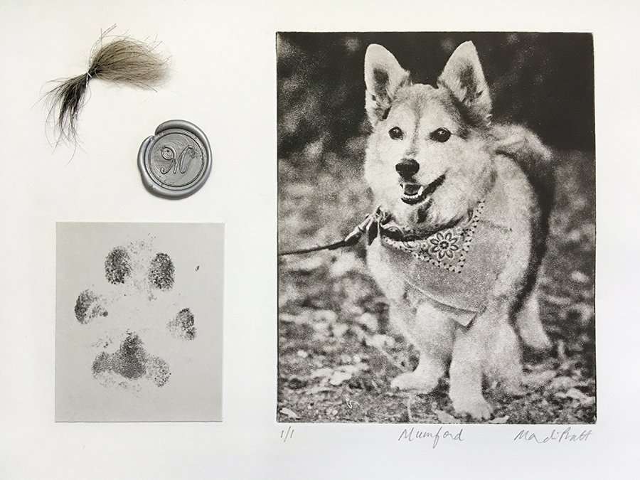 Pet Portrait Memorial image 1