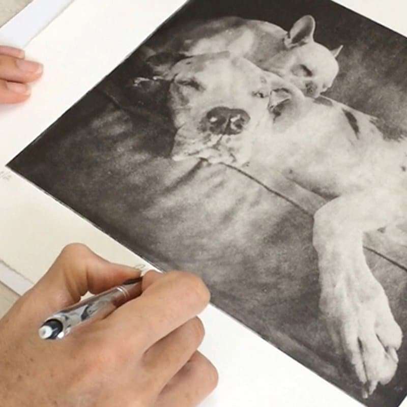 Custom Pet Portrait - Large Etching in 12x16 Mat image 1
