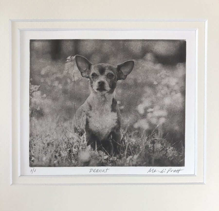 Custom Pet Portrait - Small Etching 8x10 Mat image 4