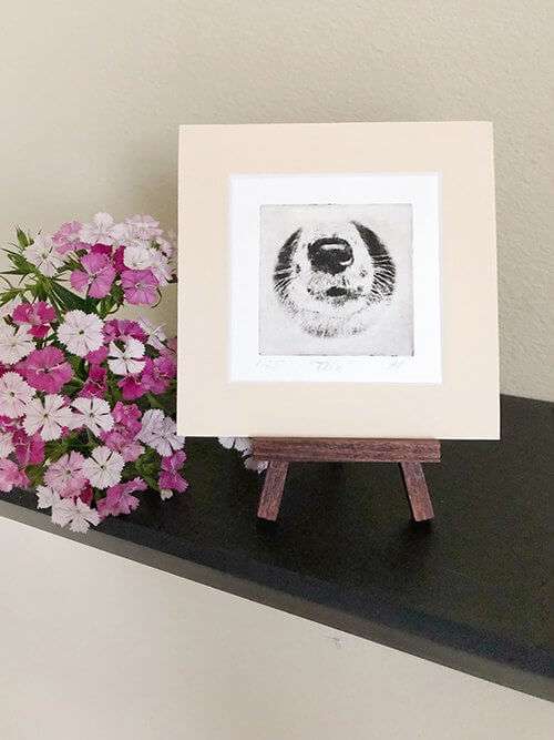 Border Collie Nose Dog Portrait image 4