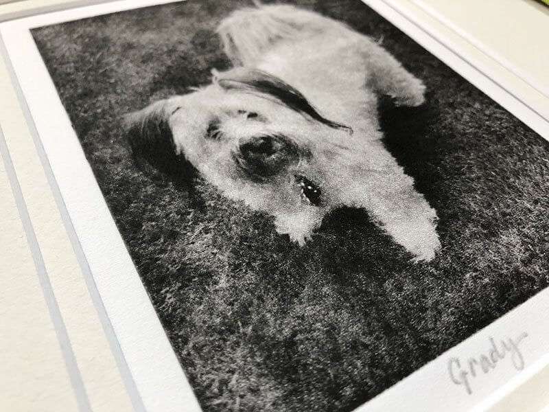 Custom Pet Portrait - Small Etching 8x10 Mat image 7