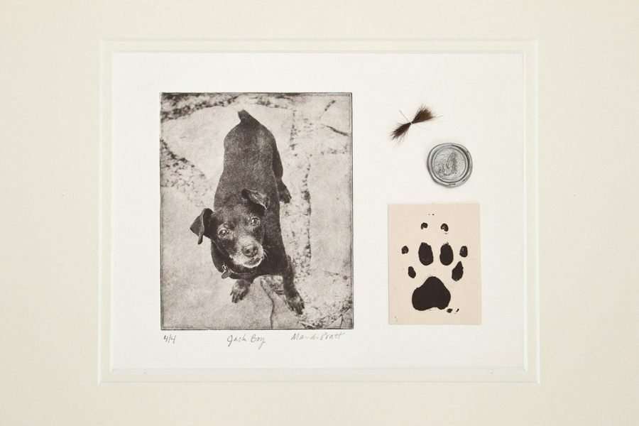 Pet Portrait Memorial image 0