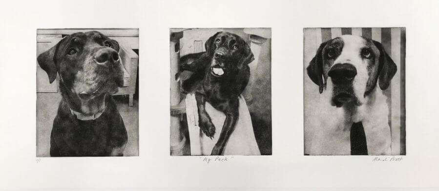 Custom Pet Portrait Collage image 5