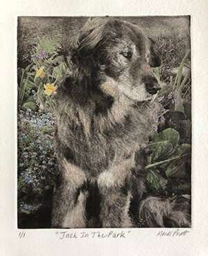 Custom Pet Portrait - Medium Etching 11x14 Mat image 5