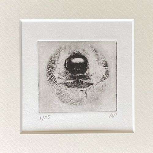 Jack Russell Portrait Dog Nose Print image 0