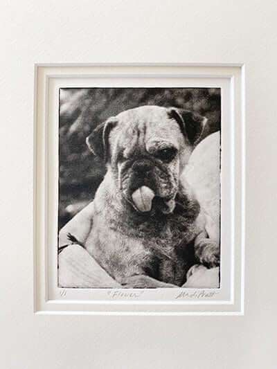 Custom Pet Portrait - Small Etching 8x10 Mat image 3