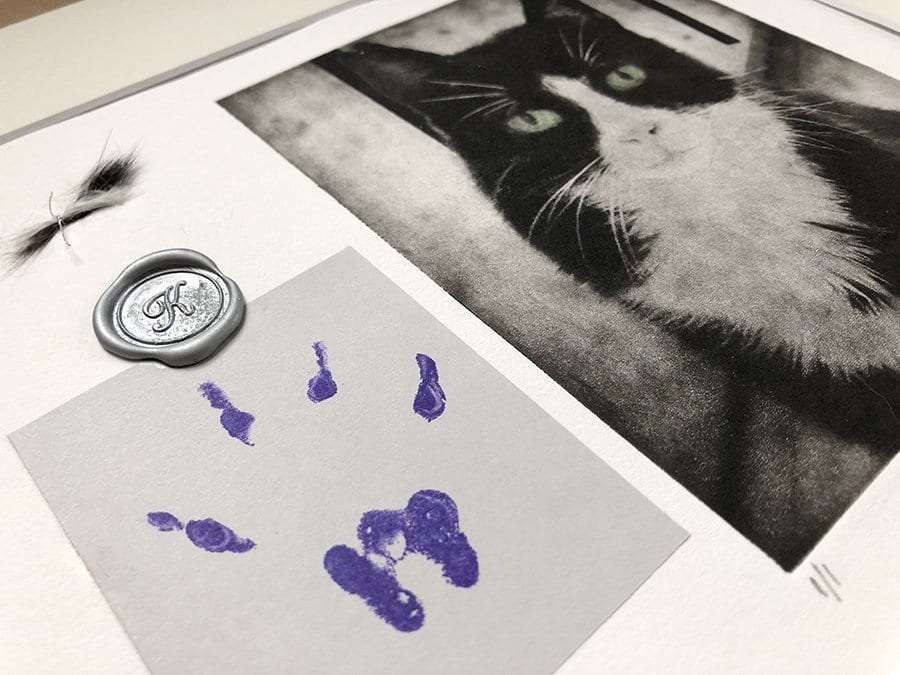 Pet Portrait Memorial image 3