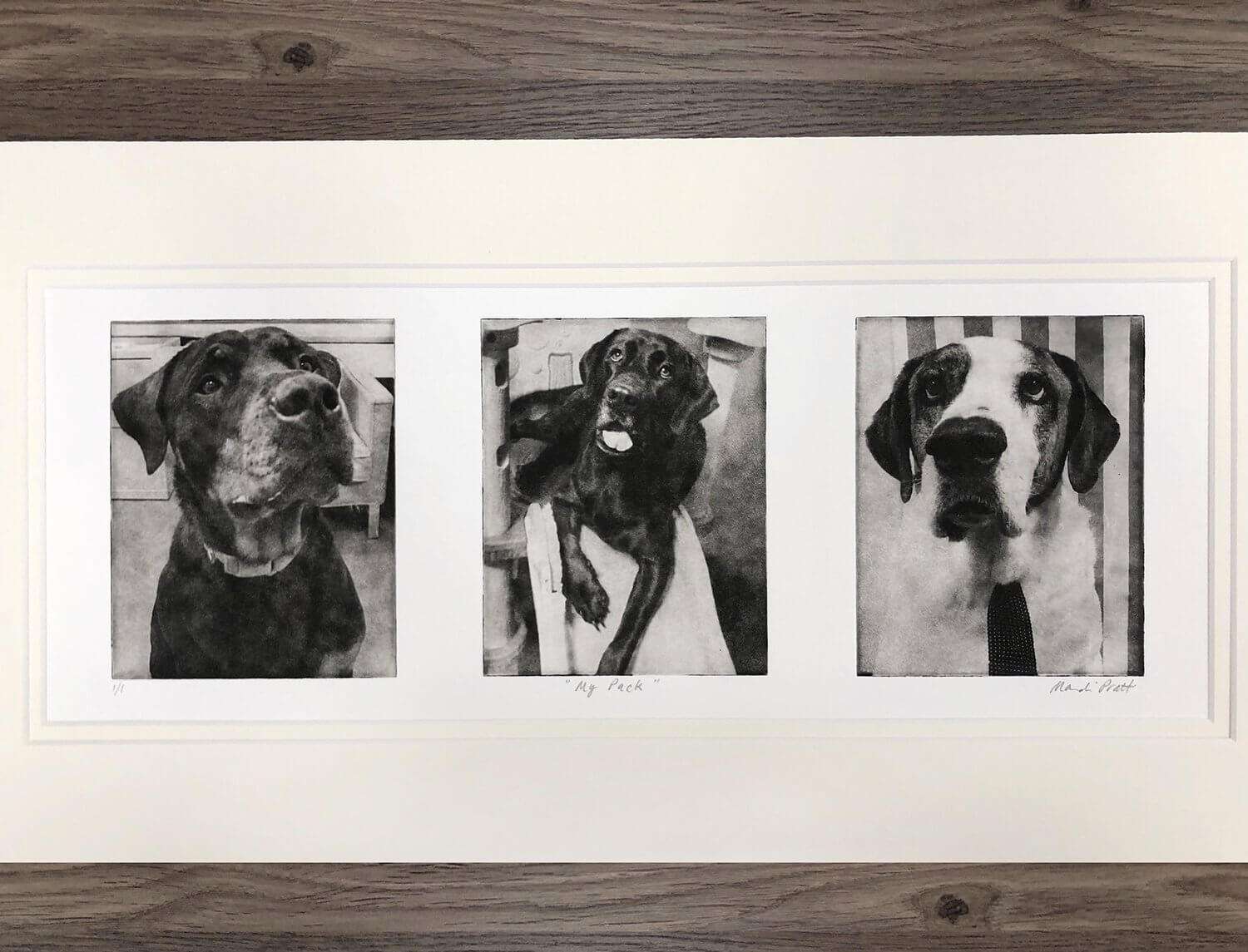 Custom Pet Portrait Collage image 4