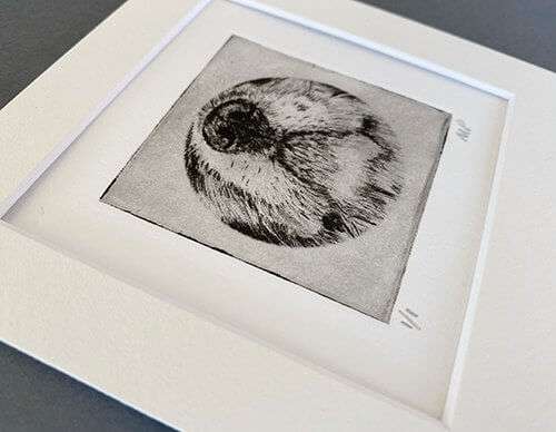 Cavalier Portrait Dog Nose Print image 5