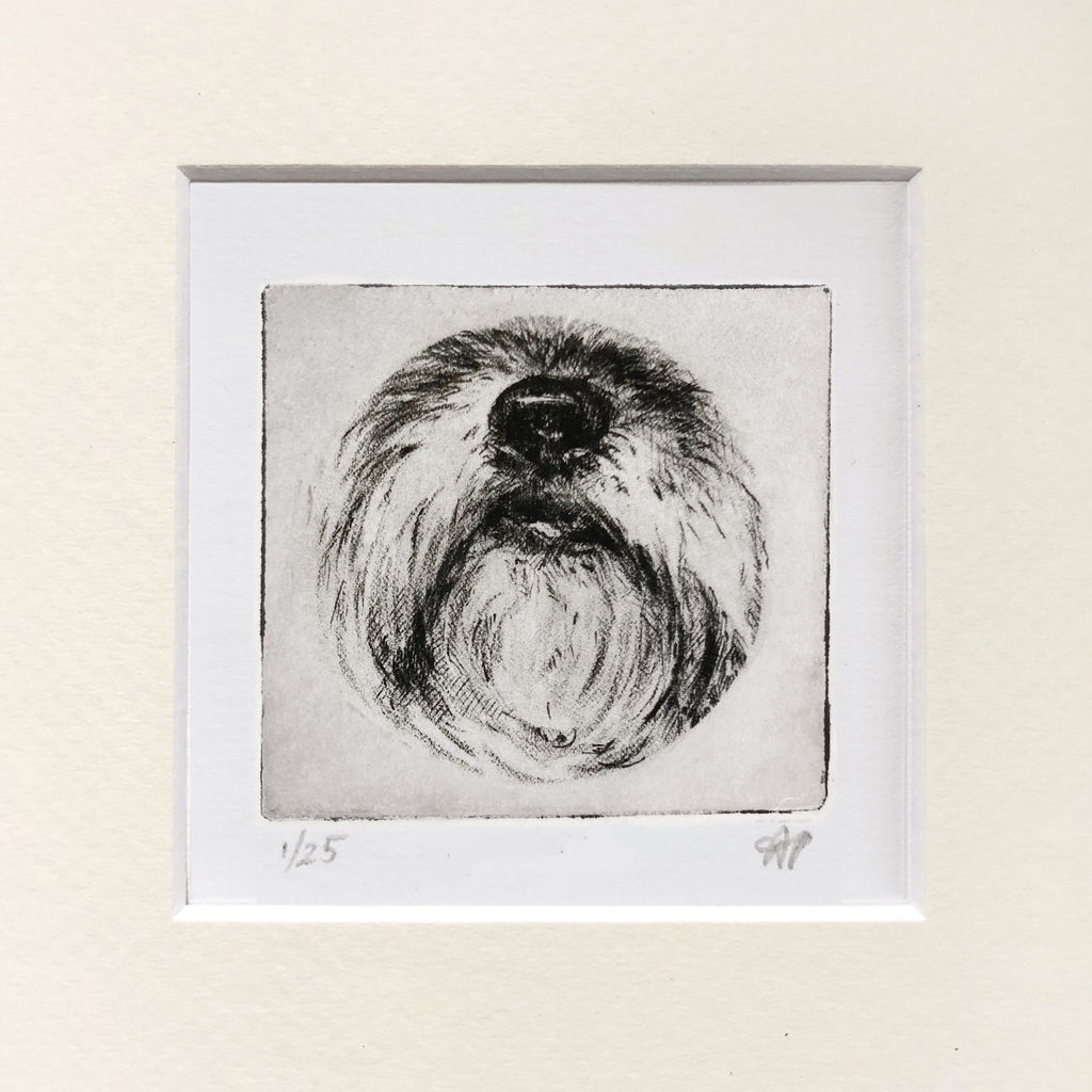 Lhasa Apso Dog Nose Art