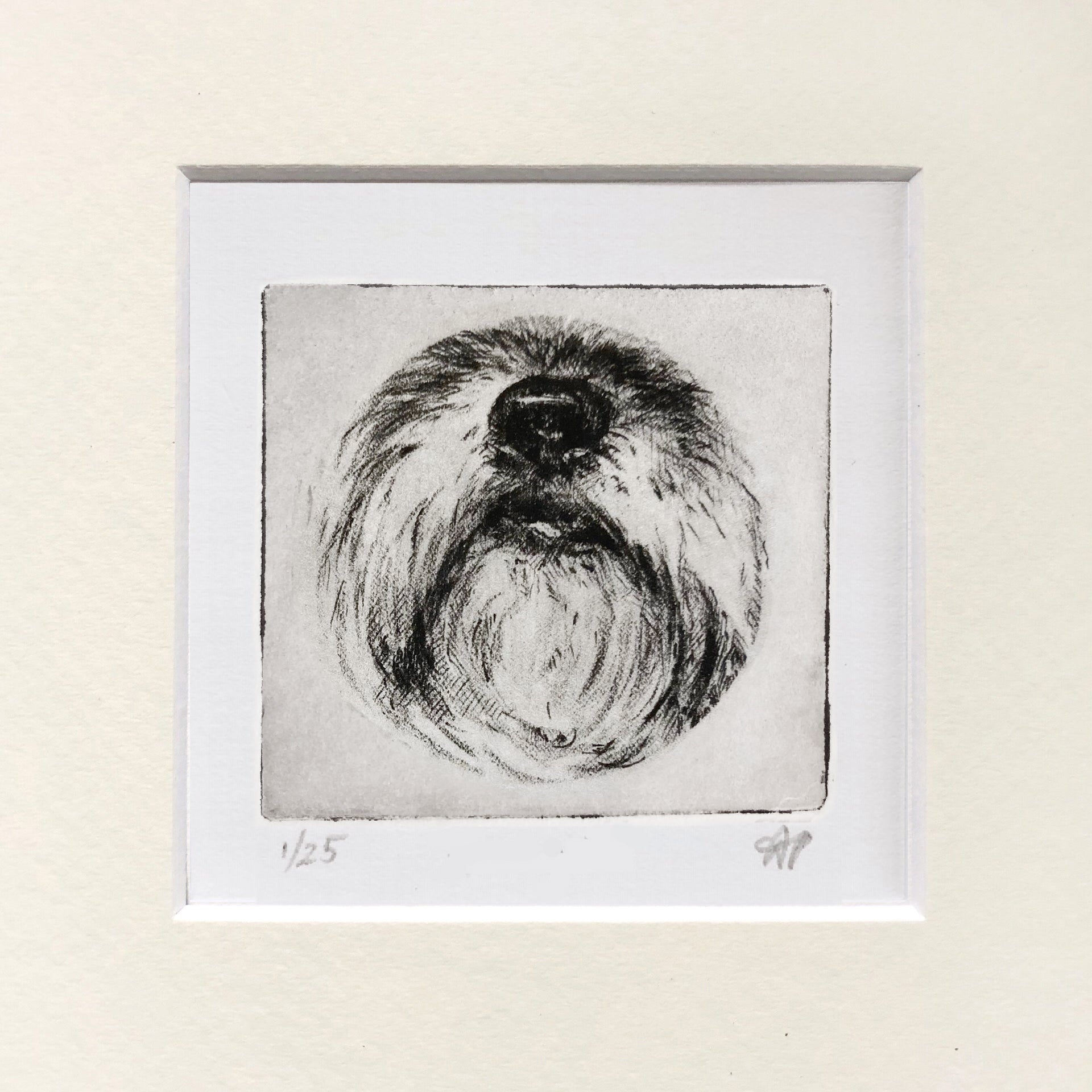 Lhasa Apso Dog Nose Art