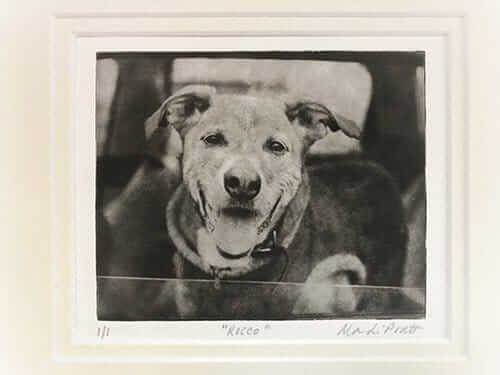 Custom Pet Portrait - Medium Etching 11x14 Mat image 4