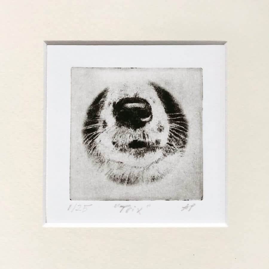 Border Collie Nose Dog Portrait image 3