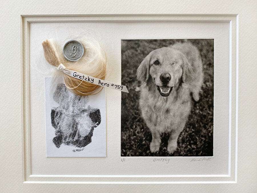 Pet Portrait Memorial image 8