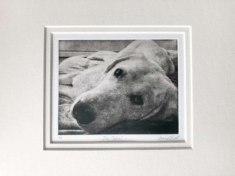 Custom Pet Portrait - Small Etching 8x10 Mat image 6