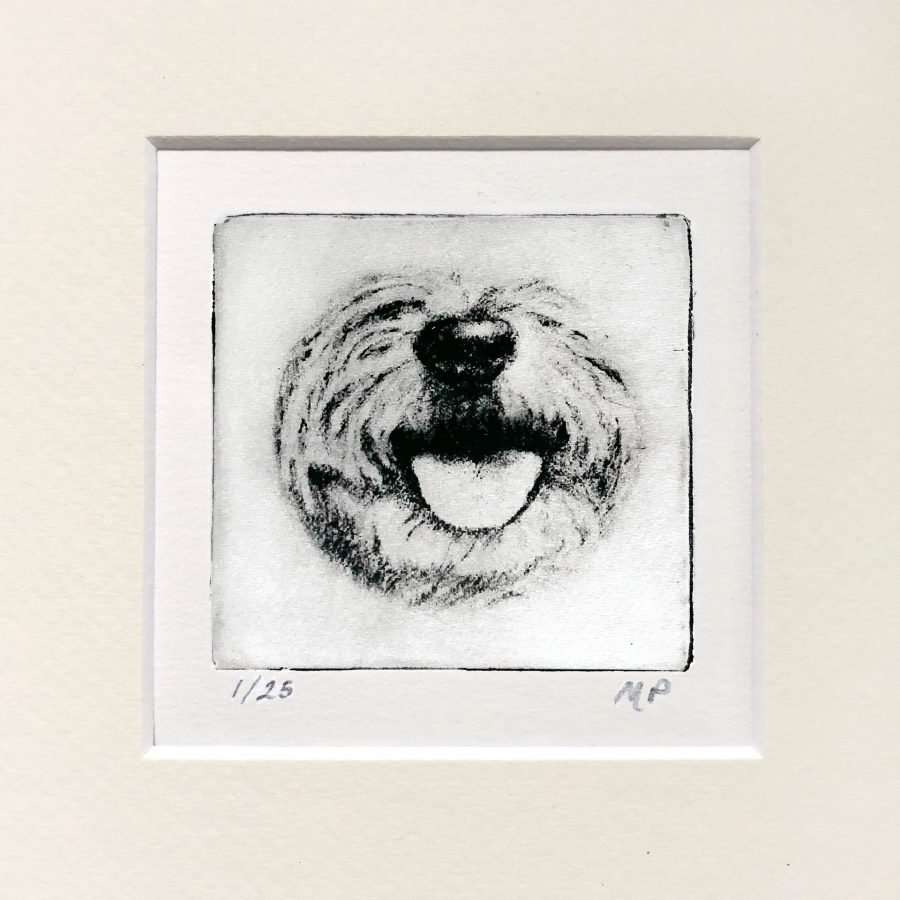 Terrier Nose Dog Portrait image 0