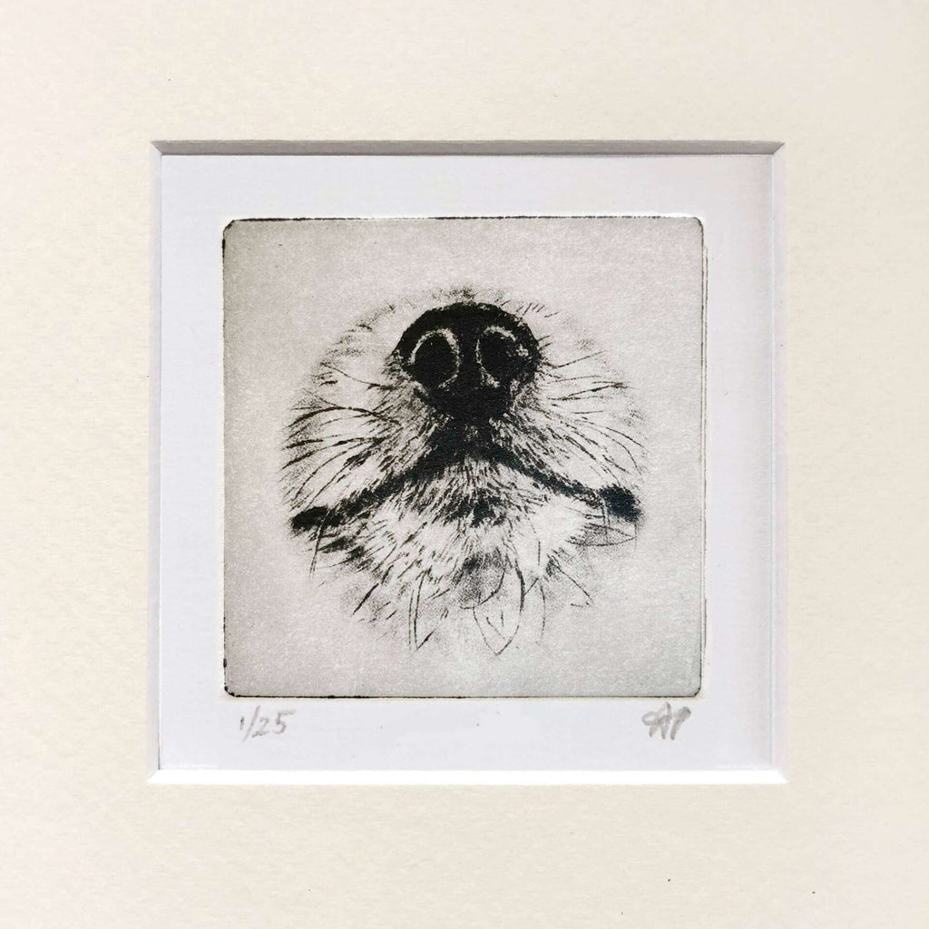 Pomeranian Portrait Dog Nose Print image 0