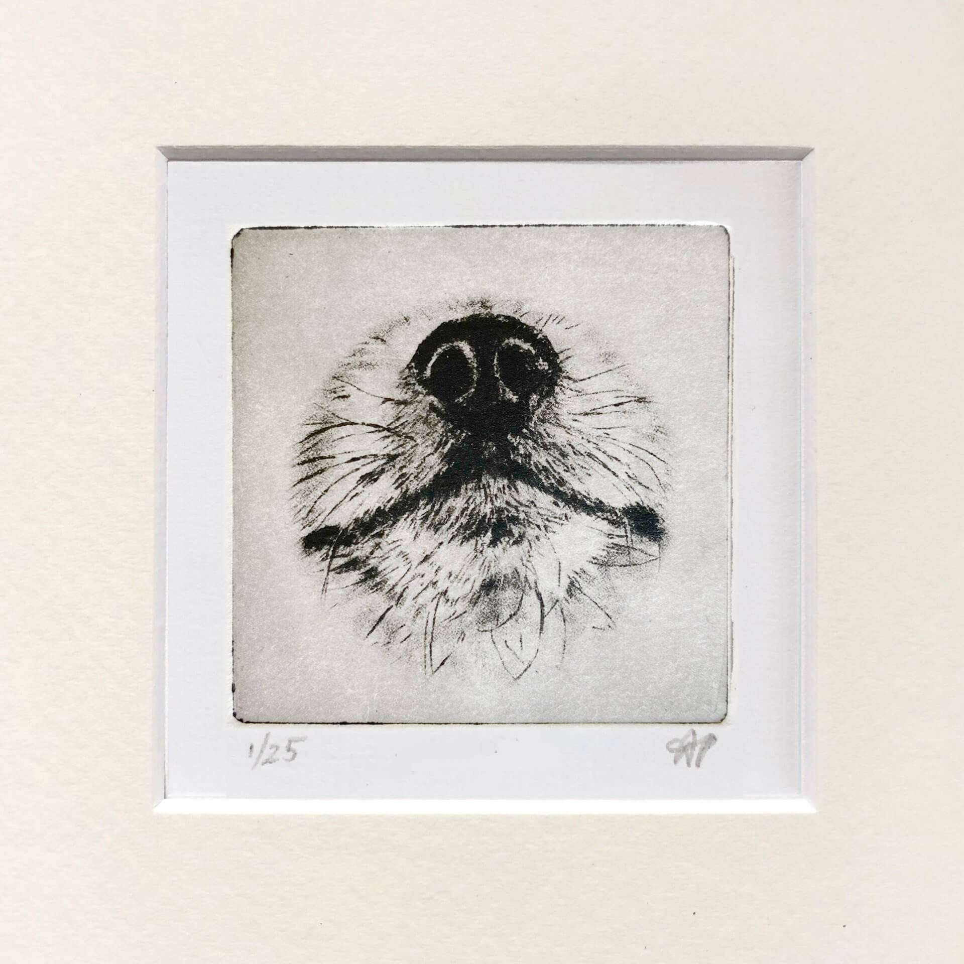 Pomeranian Portrait Dog Nose Print image 0