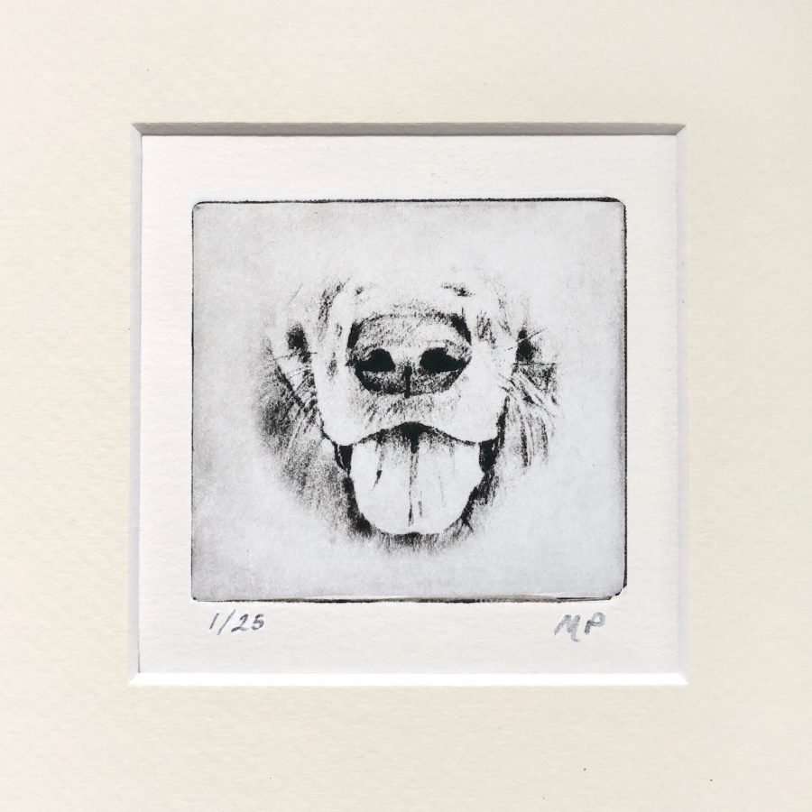 Retriever Nose Dog Portrait image 0