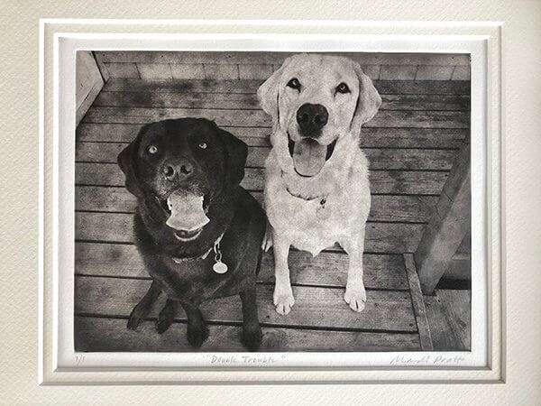 Custom Pet Portrait - Medium Etching 11x14 Mat image 3
