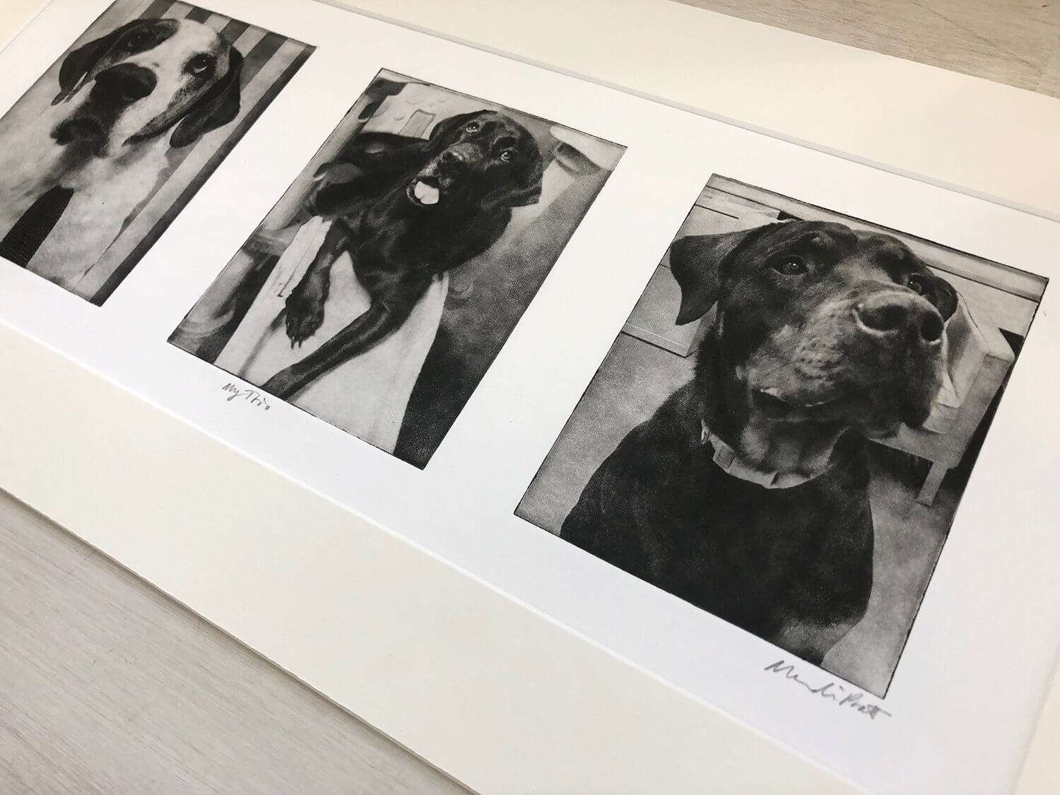 Custom Pet Portrait Collage image 0